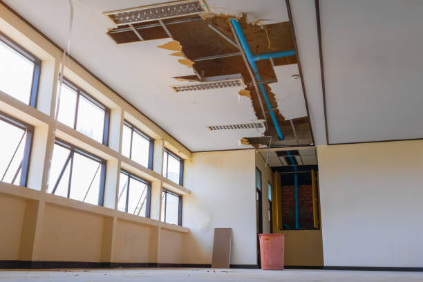 Best Fire Damage Restoration  in Black Hammock, FL