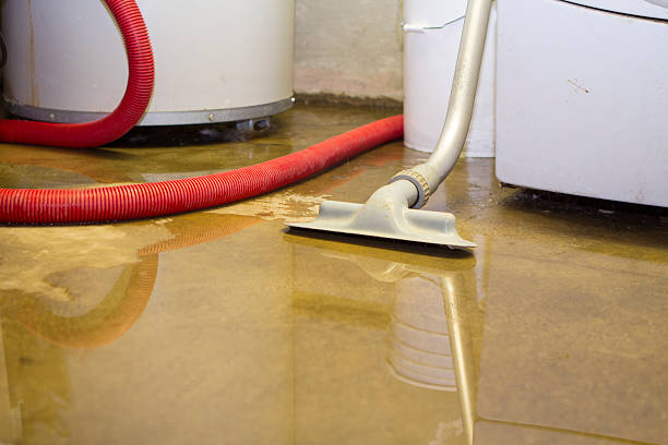 Best Carpet water damage restoration  in Black Hammock, FL